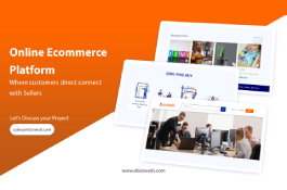 Online Ecommerce Platform Where customers direct connect with Sellers.